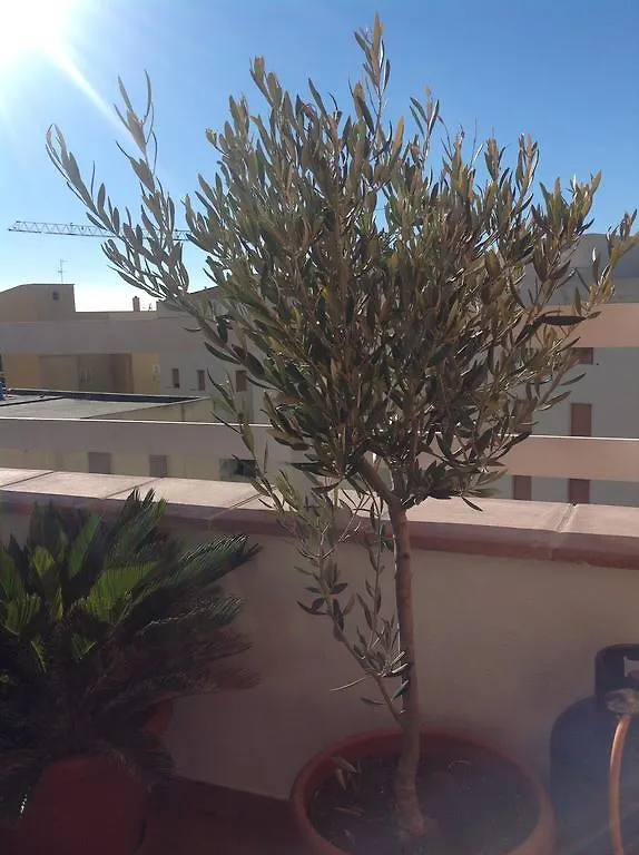 Villamari Apartment Alghero